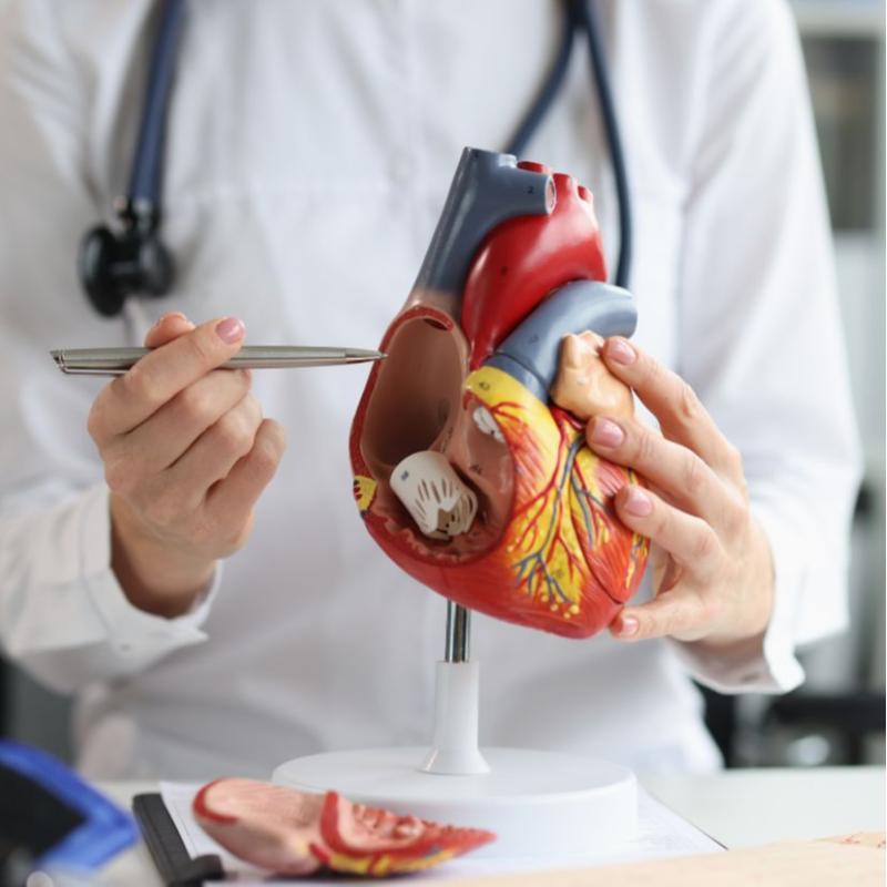 Cardiologo
