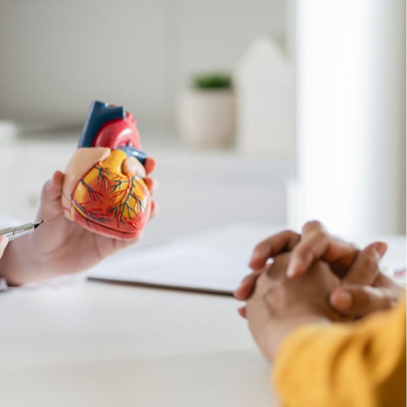 Cirujano Cardiovascular