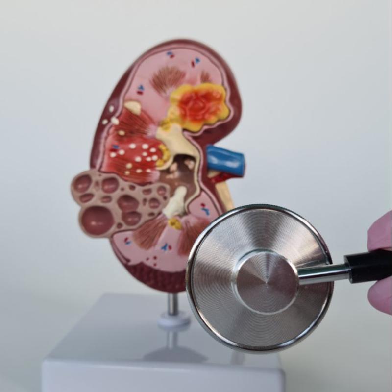 Urólogo Pediatrico